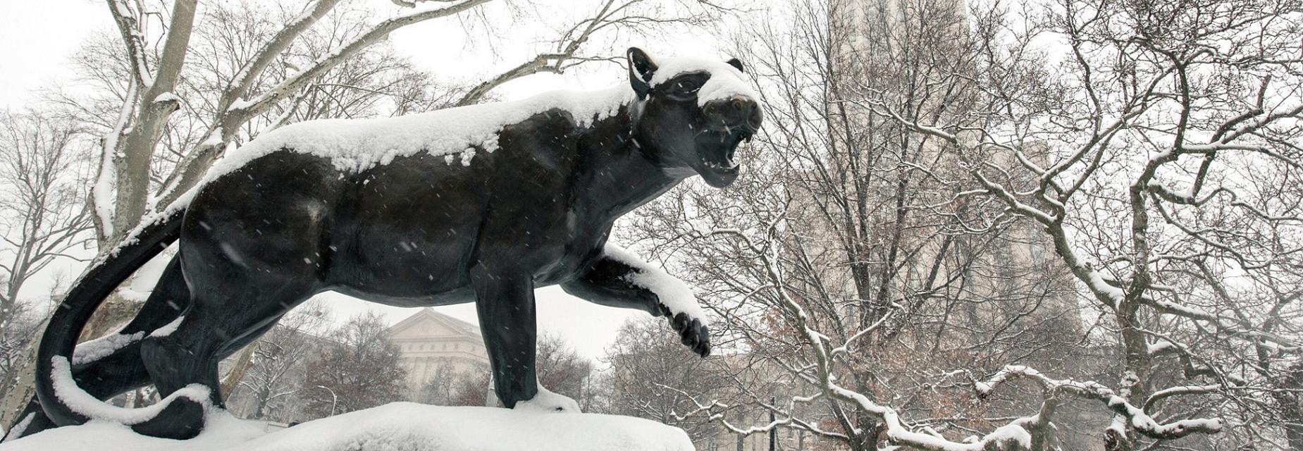 Panther in Snow
